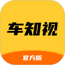 车知视